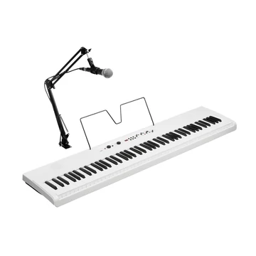 Korg - L1 LIVE, LIANO LIVE, digitális zongora