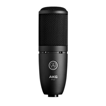 AKG - P120