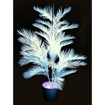 EUROPALMS - UV aktív fehér Kentia Pálmafa 170cm