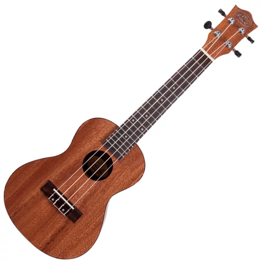 JM Forest - BC210 concert ukulele, szemből