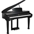 Kép 1/5 - Kurzweil KAG100 Ebony Polish