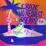 Kép 2/4 - Serato - 2x12&quot; Vezérlő lemez Craze No Request Breaks