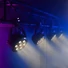 Kép 7/7 - Cameo -  Root Par TW élőben