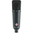 Kép 1/3 - Neumann - TLM 193