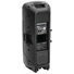 Kép 4/5 - OMNITRONIC VFM-2215AP 2-Way Speaker, active