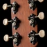 Kép 12/14 - Cort akusztikus gitár Fishman elektronikával, matt fekete vintage