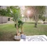 Kép 3/4 - EUROPALMS Banana Tree, artificial plant, 210cm