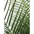 Kép 3/4 - EUROPALMS Phoenix  Palm Deluxe, artificial plant, 220cm